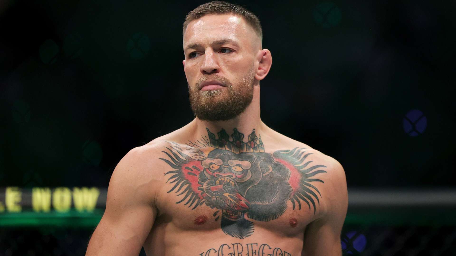 的深邃与睿 的深邃与睿